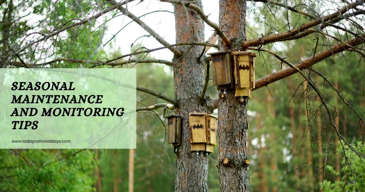Bat House Monitoring Tips Bat House Monitoring Tips