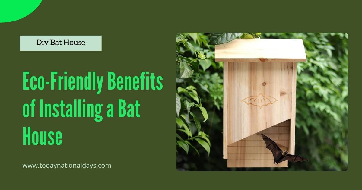 Eco-Friendly Bat House Eco-Friendly Bat House